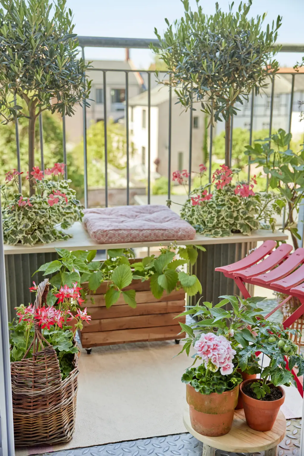 Kleiner Stadtbalkon mit Olivenbäumchen, Geranien und einem roten Klappstuhl